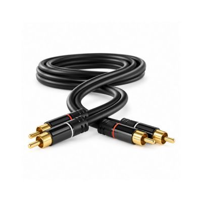 Accesorii audio