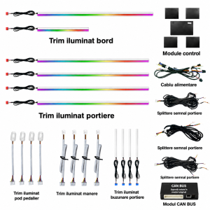 Lumini Ambientale NIGHTVIBE universale canbus set complet control telefon sau sistem original