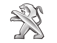 Pachete dedicate Peugeot