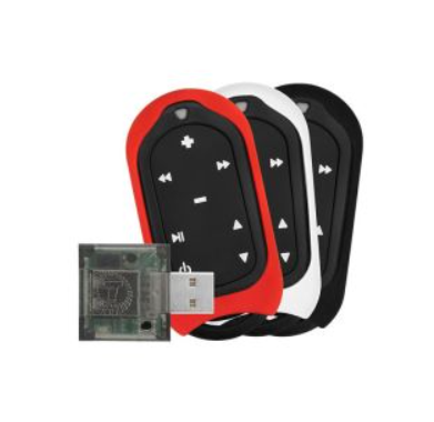 Telecomanda de lunga distanta (sisteme media auto)