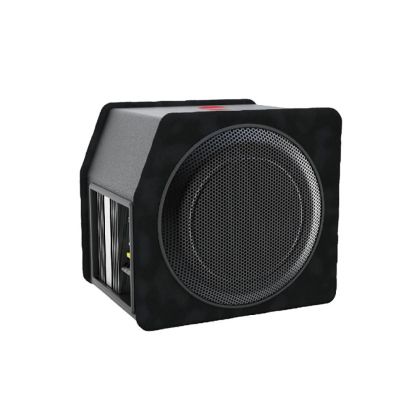 Subwoofer auto activ Nakamichi, 10 inch, 100 W RMS, 1000 W max