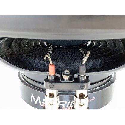 Passzív mélynyomó burkolattal, Hangrendszer, ALSÓ VÁZ, 600 W rms, 800 W max, 2 x 10", pótkerék