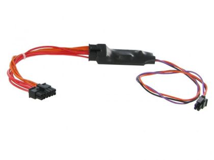 Papagáj foltvezető CTASTEROIDLEAD