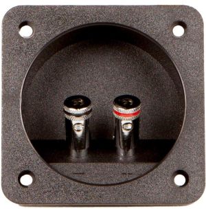 Cupla incinta cu 2 poli